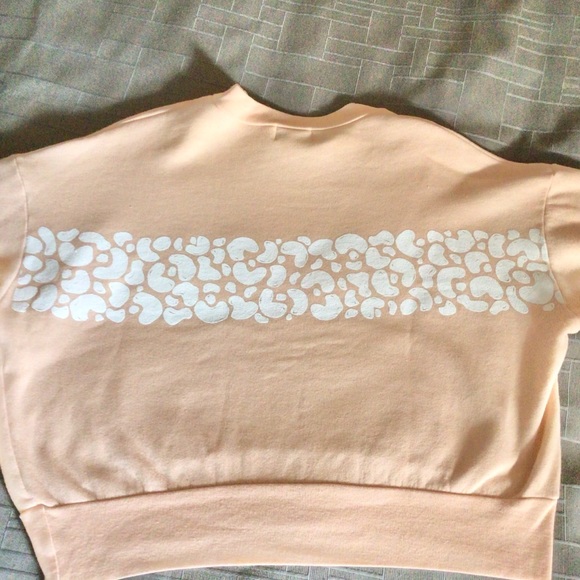 Dazey LA Leopard Stripe Softie Rose Crop Crew Sweatshirt Large - Picture 8 of 9
